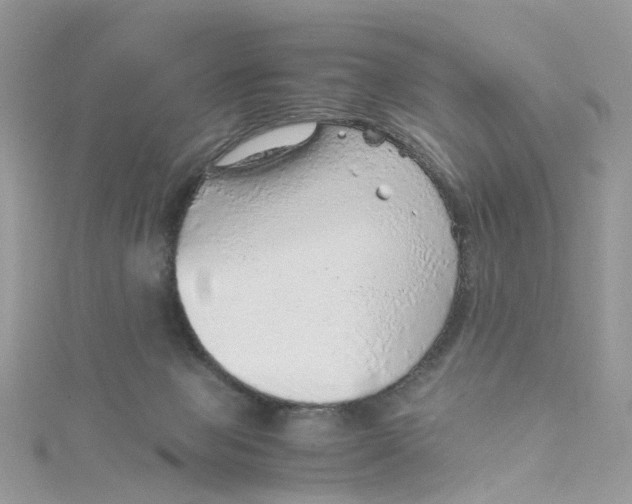 X0000115150077200911171249