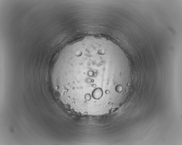 X0000115150078200911171249