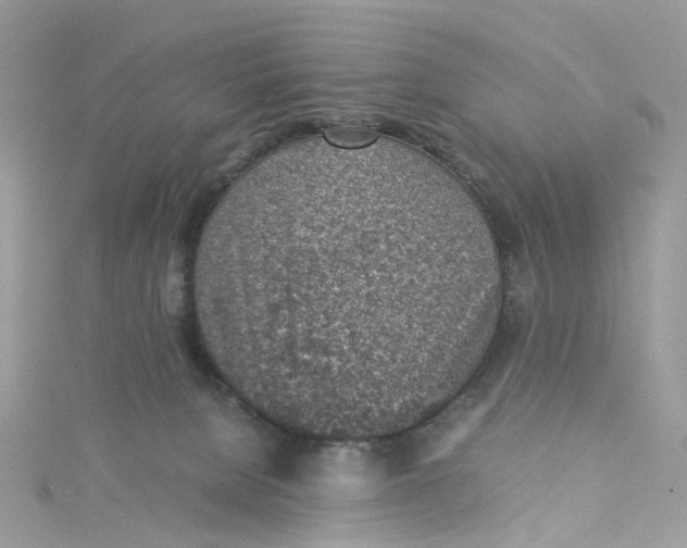 X0000115150080200911171249