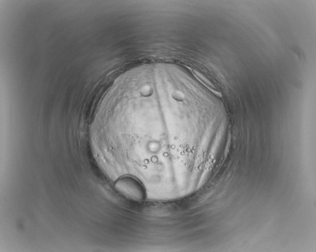 X0000115150081200911171249