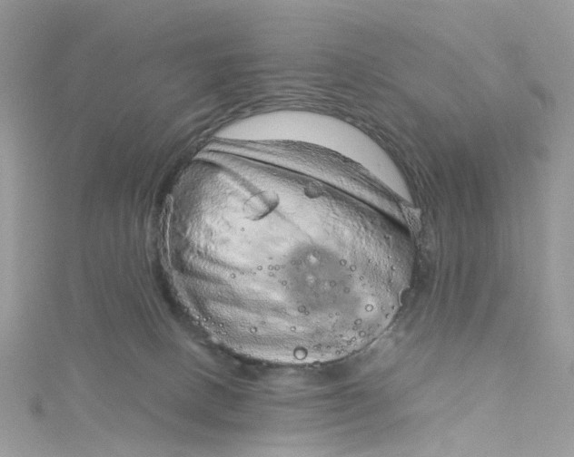 X0000115150082200911171249