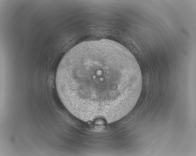 X0000115150083200911171249