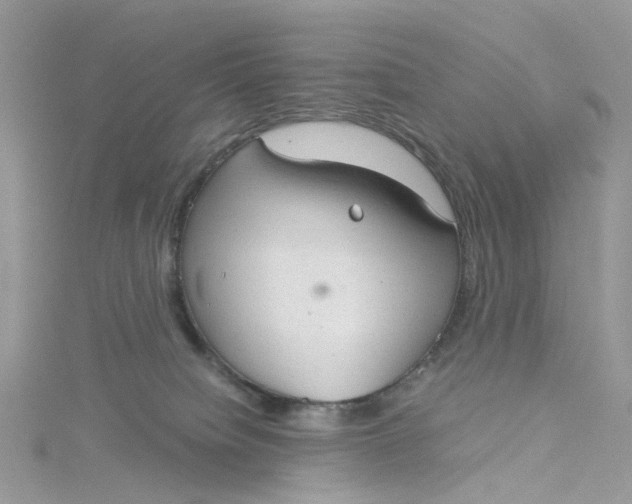 X0000115150084200911171249