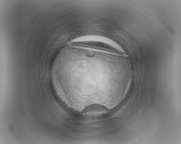 X0000115150085200911171249