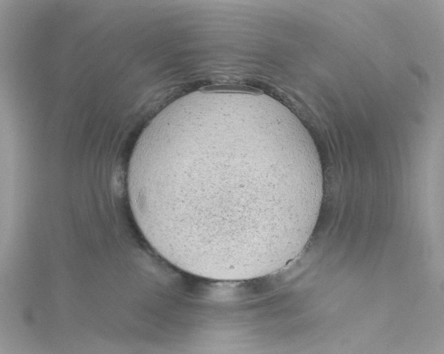 X0000115150090200911171249