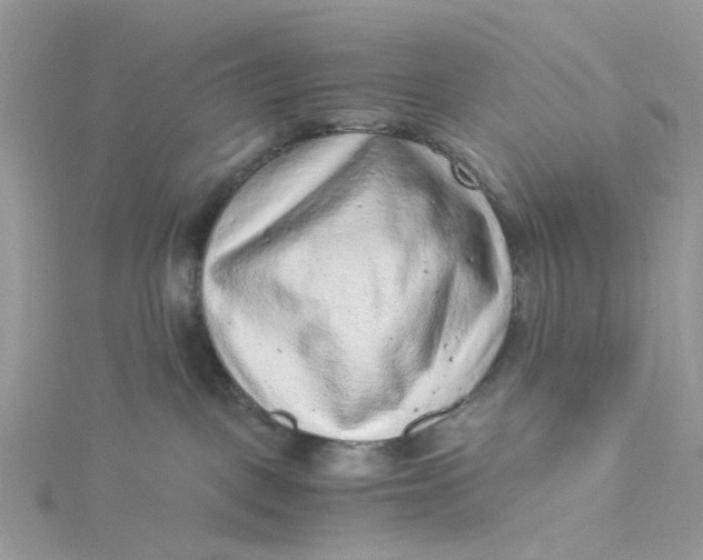 X0000115150093200911171249