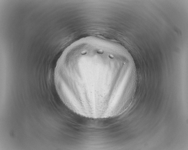 X0000115150094200911171249