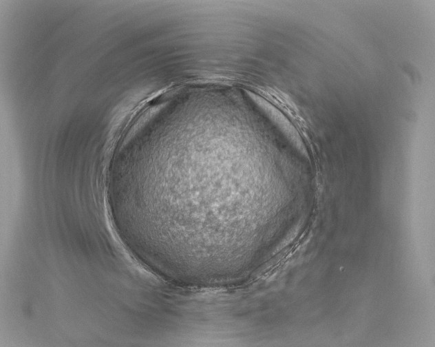 X0000115150097200911171249