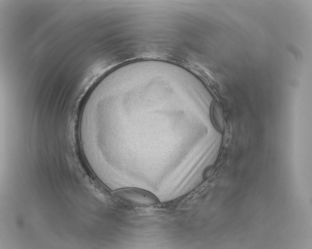 X0000115150098200911171249