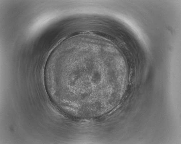 X0000115150099200911171249