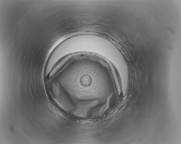 X0000115150100200911171249