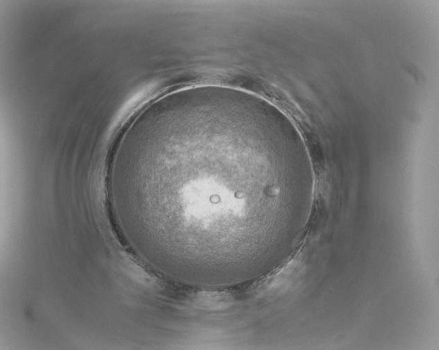 X0000115150101200911171249