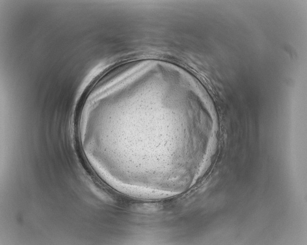 X0000115150102200911171249