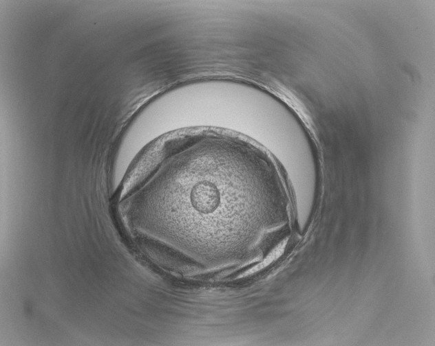 X0000115150105200911171249