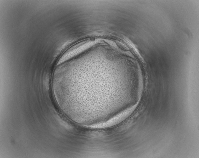 X0000115150106200911171249