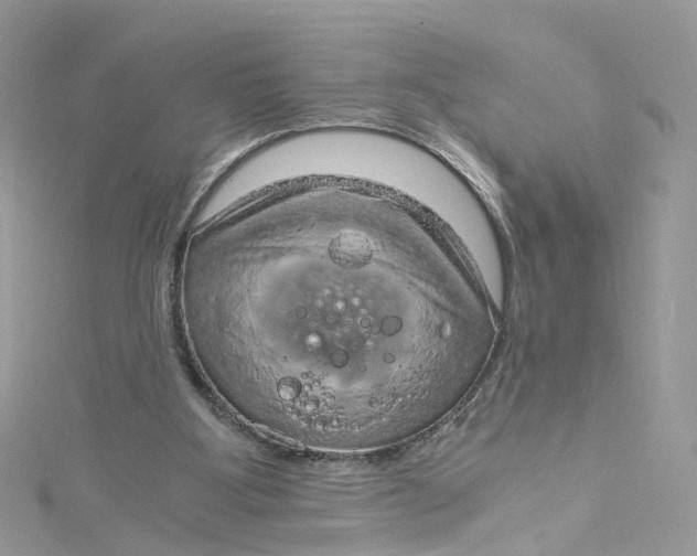 X0000115150107200911171249