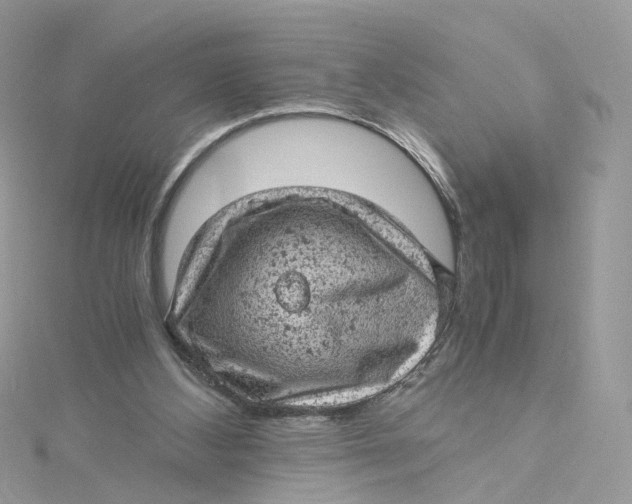 X0000115150108200911171249