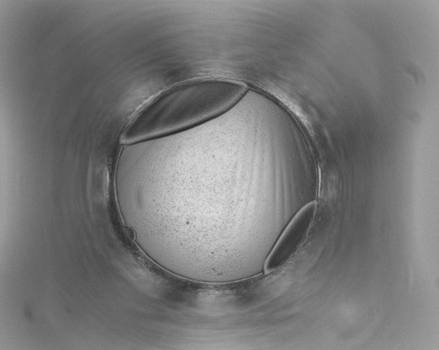 X0000115150109200911171249