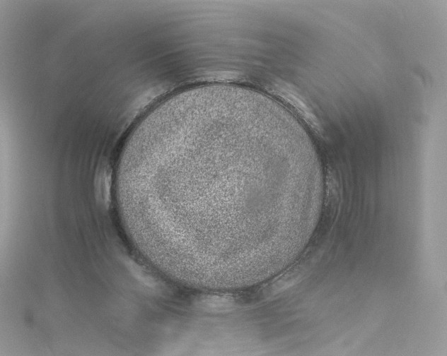 X0000115150110200911171249