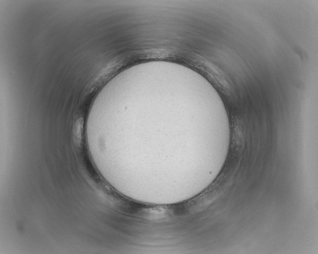 X0000115150118200911171249