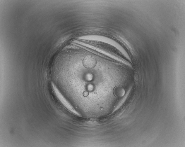 X0000115150119200911171249