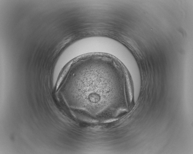 X0000115150120200911171249