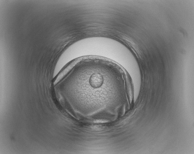 X0000115150121200911171249