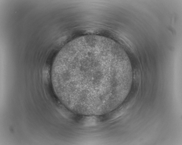 X0000115150127200911171248