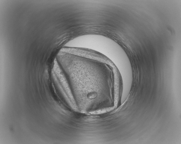 X0000115150128200911171248