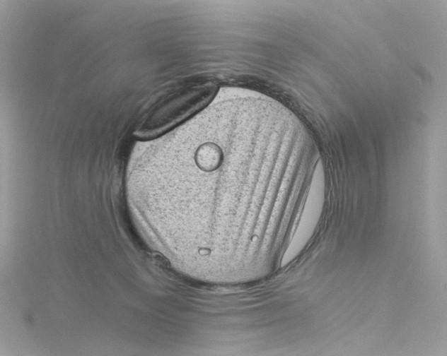 X0000115150129200911171248