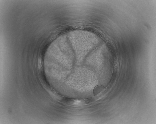 X0000115150130200911171248