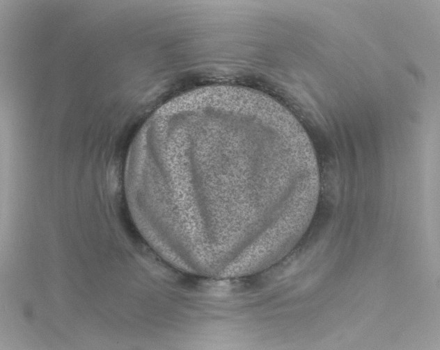 X0000115150131200911171248