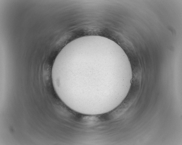 X0000115150133200911171248