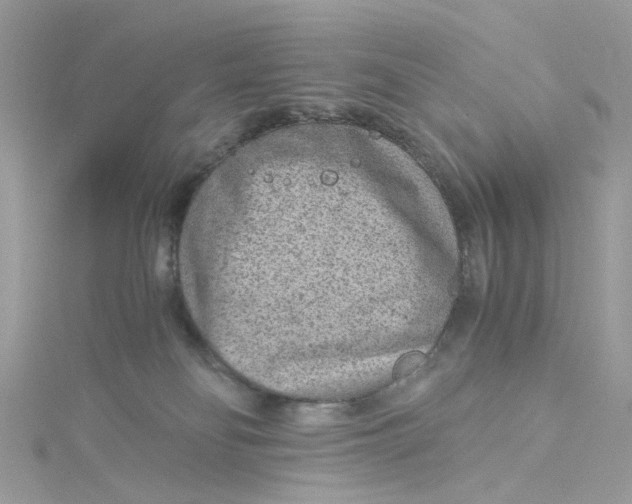 X0000115150134200911171248