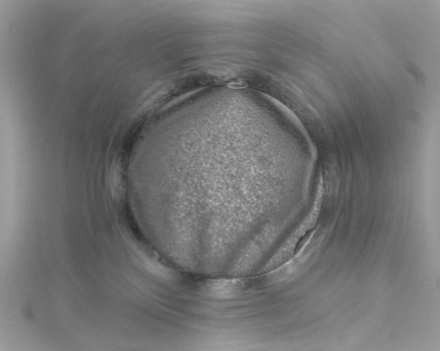 X0000115150136200911171248