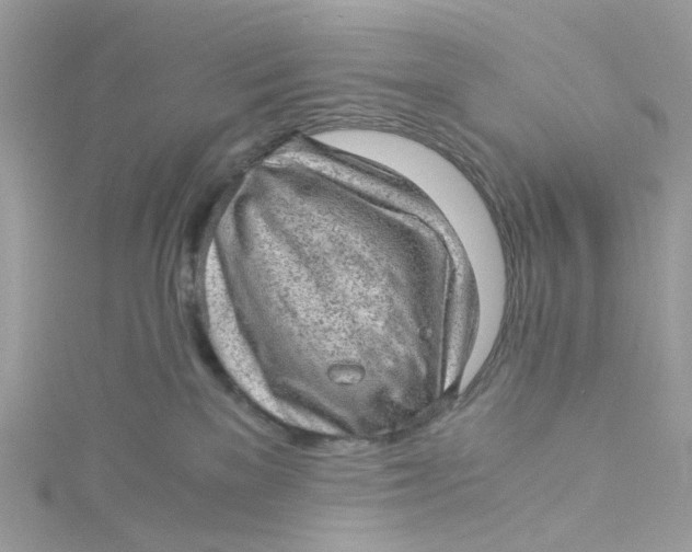 X0000115150137200911171248