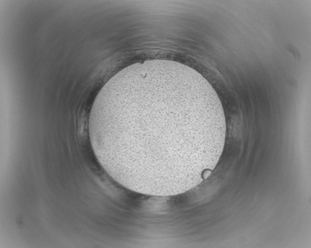 X0000115150138200911171248