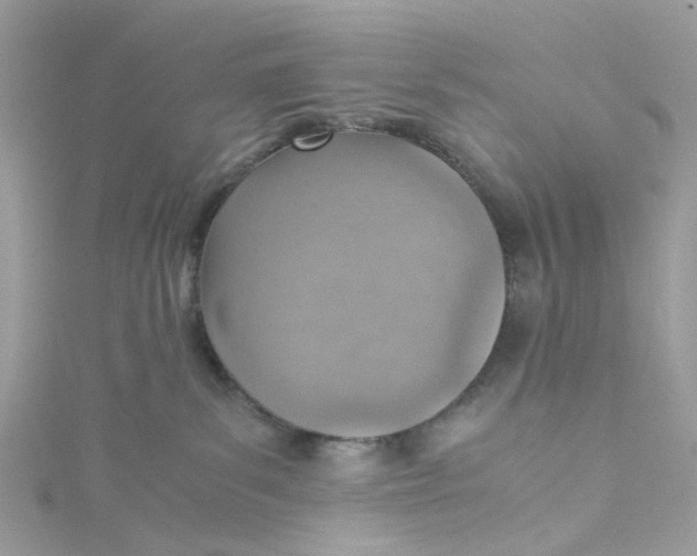 X0000115150139200911171248