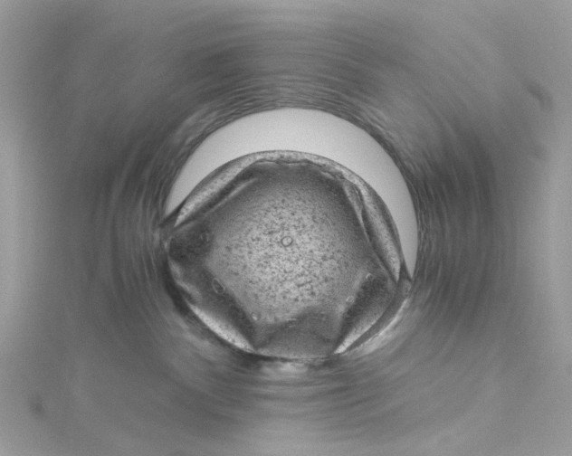 X0000115150140200911171248