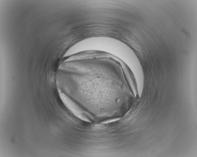 X0000115150141200911171248