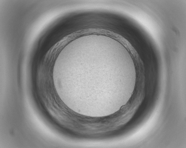 X0000115150142200911171248