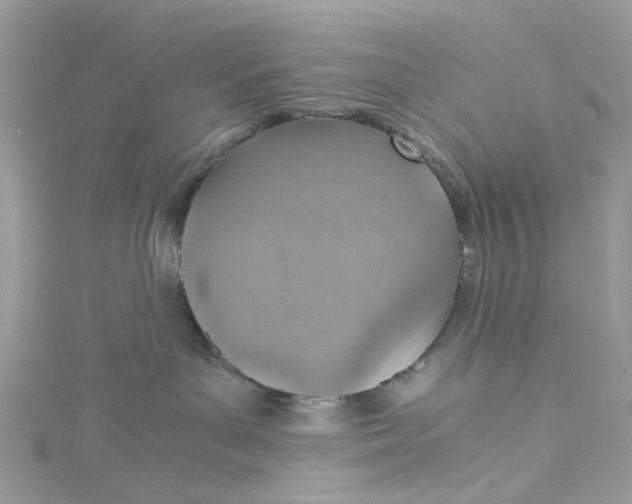 X0000115150143200911171248