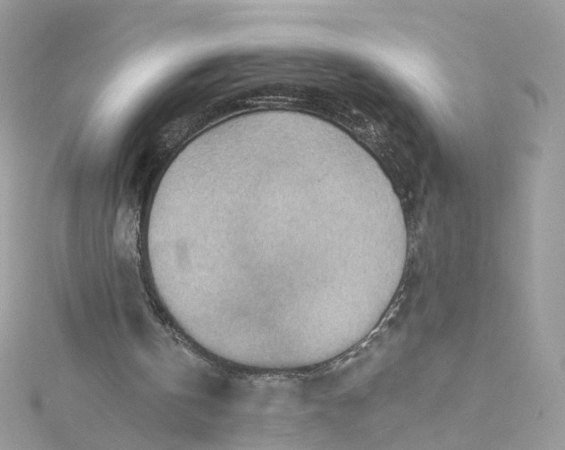 X0000115150146200911171248