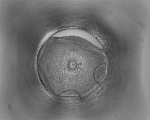 X0000115150147200911171248