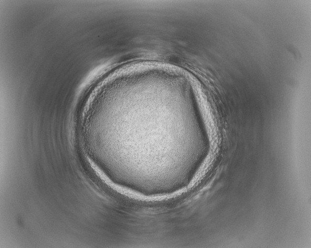 X0000115150149200911171248