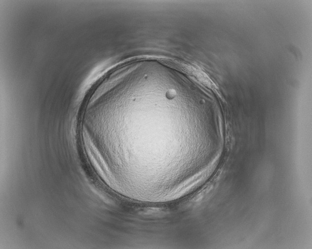 X0000115150151200911171248