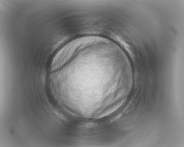 X0000115150153200911171248