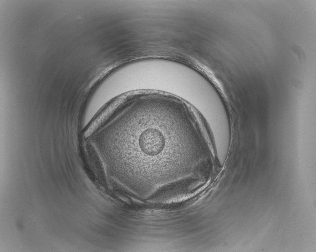 X0000115150154200911171248