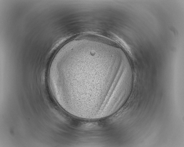 X0000115150155200911171248