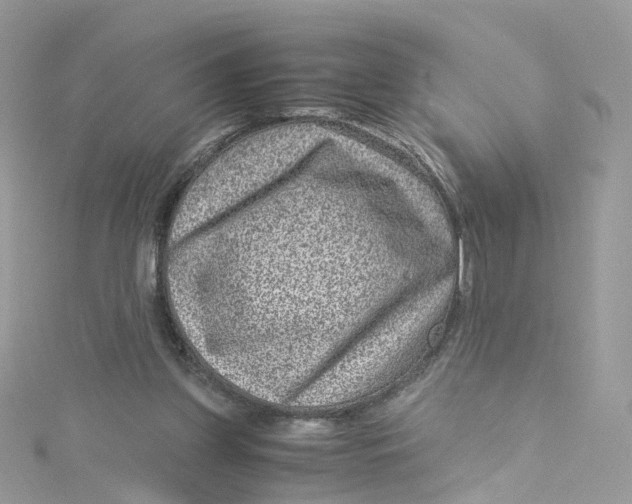 X0000115150157200911171248